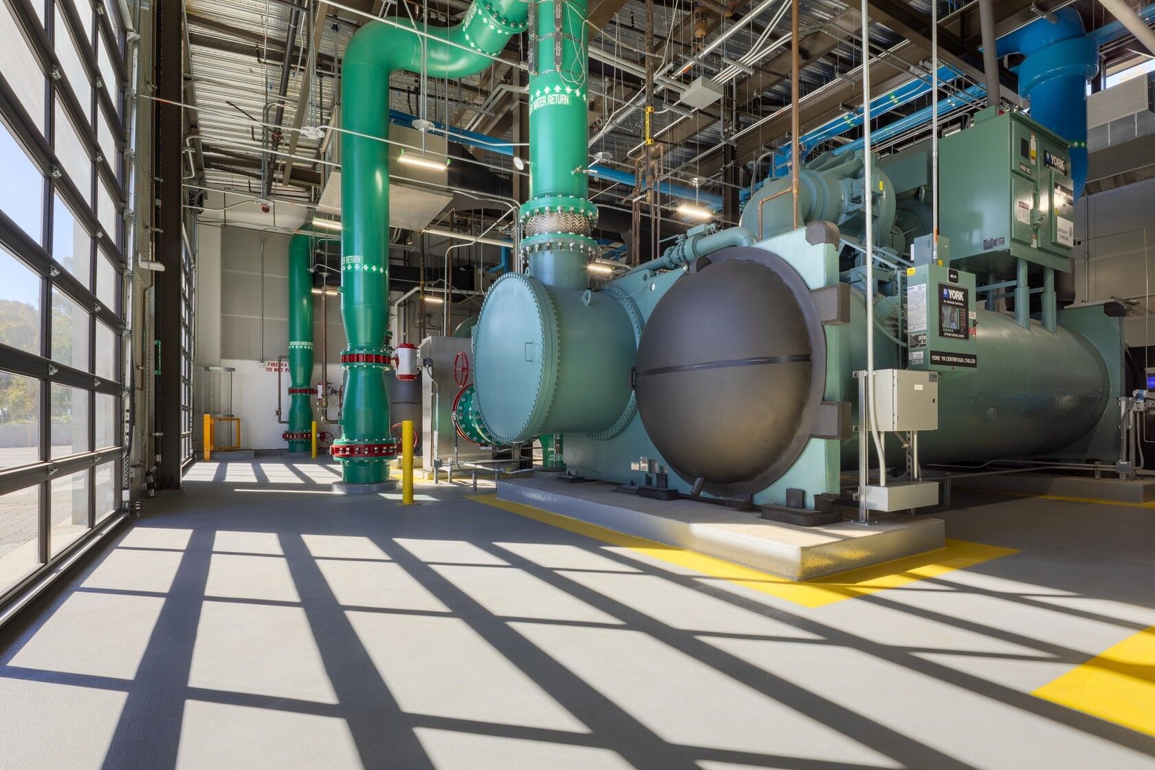 palmlilie bltenstngel abschneiden Yucca filamentosa (Palmlilie)  Grfin von Zeppelin